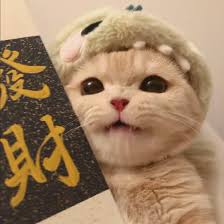 Ảnh đại diện người dùng Mỹ Duyên